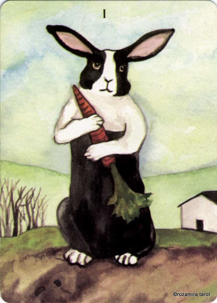 Rabbit Tarot